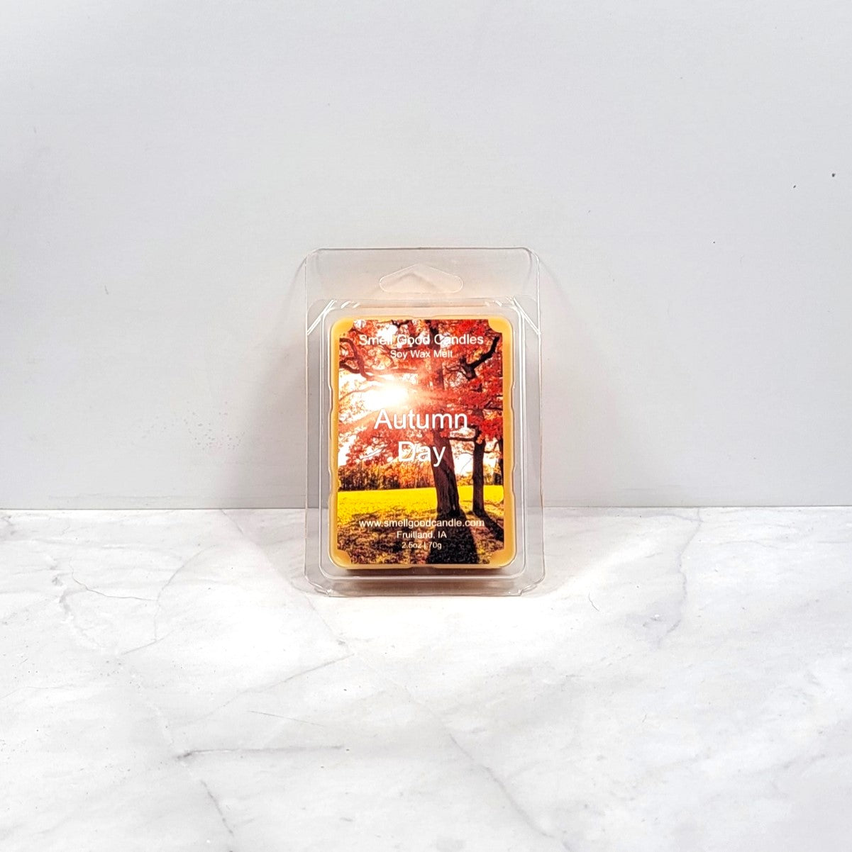 Autumn Day soy wax melt with colorful fall leaves