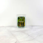 Bamboo soy wax melt with botanical greenery and citrus
