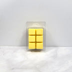 Hand-poured coastal wax melt with sea air and floral notes