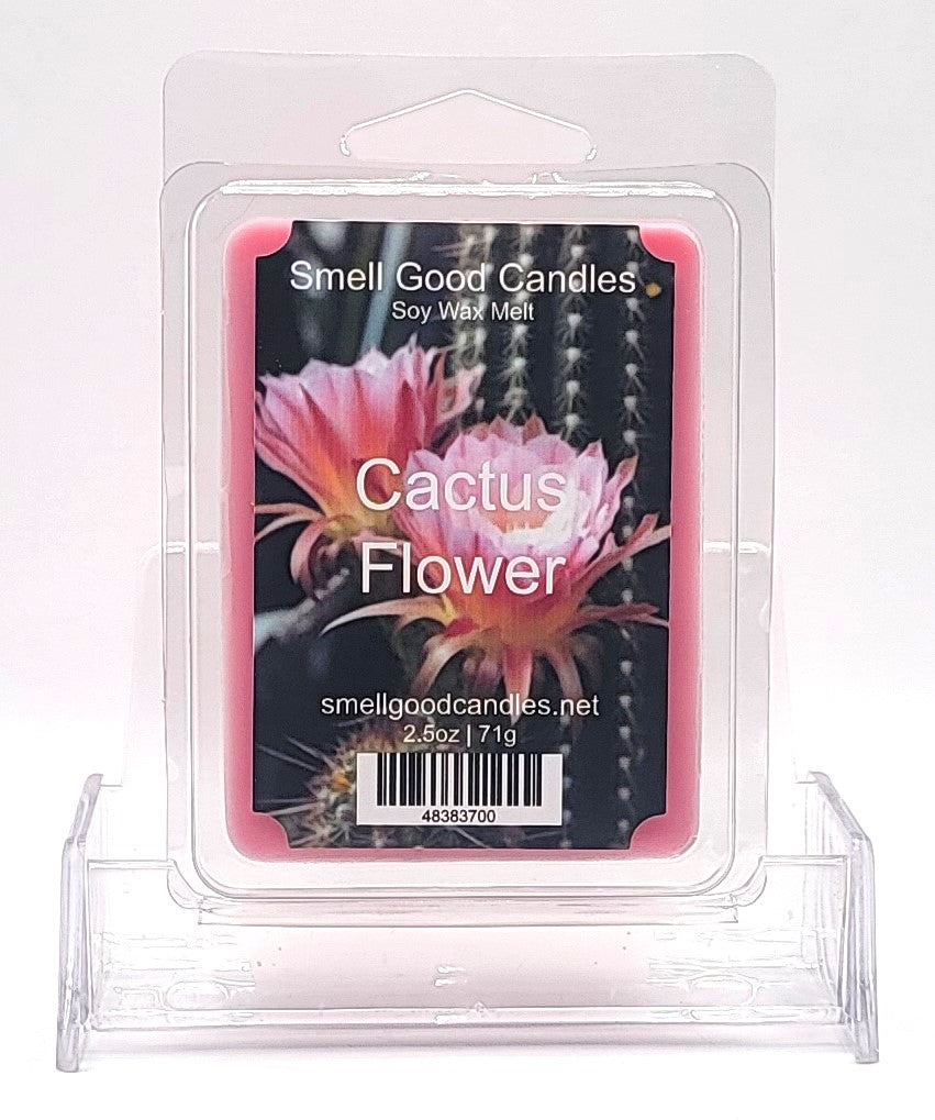 Luxury soy wax melt featuring succulents, driftwood, and vanilla musk fragrance