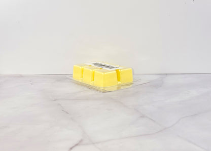 Cactus-scented wax melt with beachy, clean aesthetic