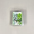 Clear 6-cavity clamshell packaging featuring light green soy wax melt cubes. The transparent container showcases the smooth, artisanal texture of the hand-poured wax.
