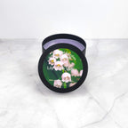 Lily of the Valley 8oz soy wax candle with soft floral and green notes.