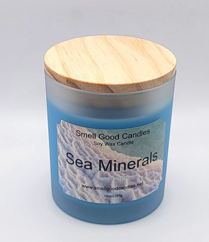 Sea Minerals 10oz Scented Soy Wax Candle - Fresh Coastal Aroma