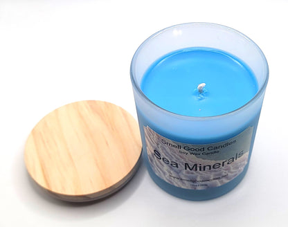 Sea Minerals 10oz Scented Soy Wax Candle - Fresh Coastal Aroma