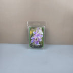 Packaged Sweet Pea wax melt on a neutral background